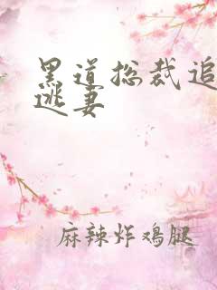 黑道总裁追黑道逃妻