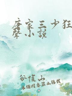 唐家三少狂神有声小说