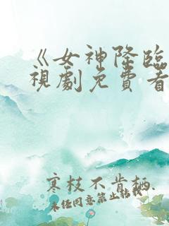 《女神降临》电视剧免费看