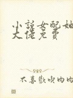 小说女配她成了大佬免费