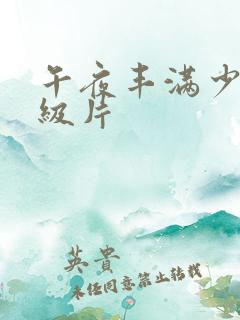 午夜丰满少妇一级片