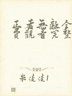 正者无敌全集免费观看完整版高清