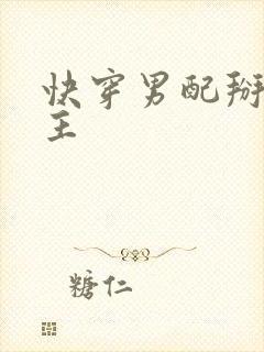 快穿男配掰弯男主