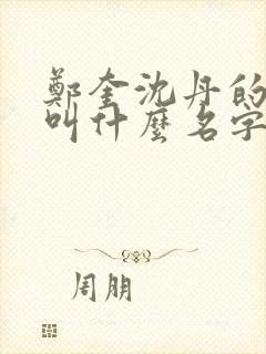 郑奎沈丹的小说叫什么名字