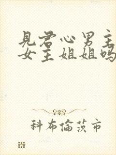 见君心男主喜欢女主姐姐吗