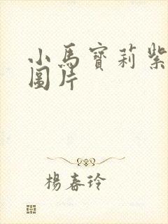 小马宝莉紫悦的图片