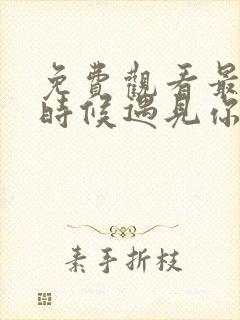 免费观看最美的时候遇见你