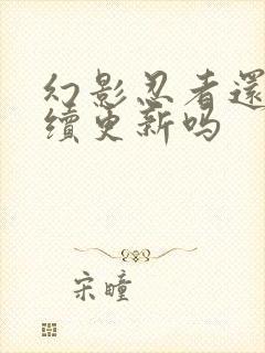 幻影忍者还会继续更新吗