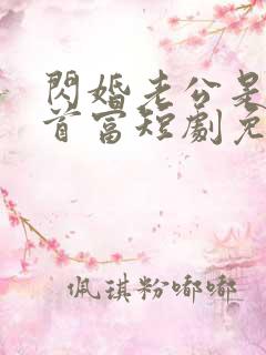 闪婚老公是千亿首富短剧免费下载