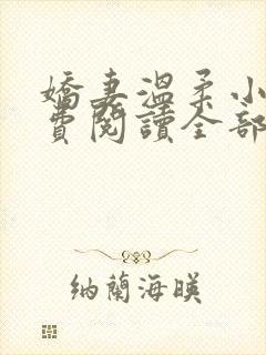 娇妻温柔小说免费阅读全部章节