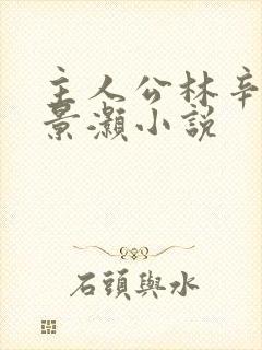 主人公林辛言宗景灏小说