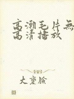 高潮毛片无遮挡高清播放