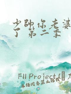 少帅你老婆又跑了 第二季