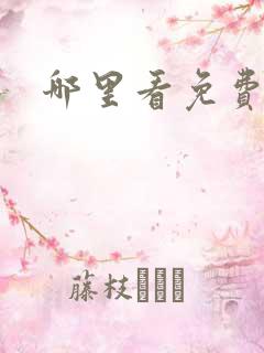 哪里看免费中超