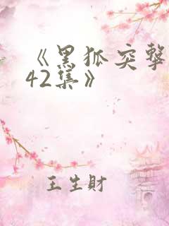 《黑狐突击队全42集》