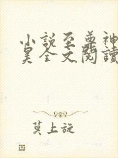 小说至尊神婿叶昊全文阅读