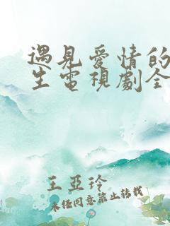 遇见爱情的利先生电视剧全集免费