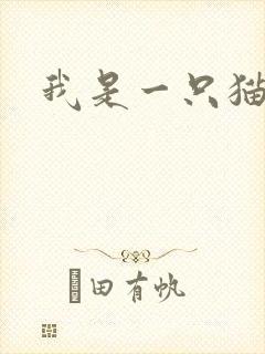我是一只猫2