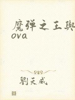 魔弹之王与战姬ova