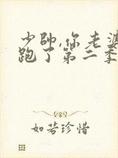 少帅,你老婆又跑了第二季