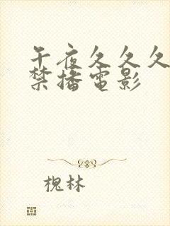 午夜久久久久久禁播电影