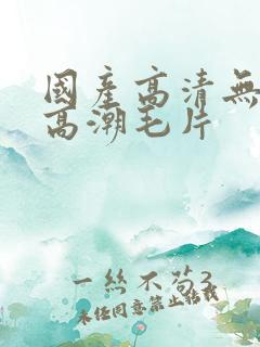 国产高清无遮挡高潮毛片