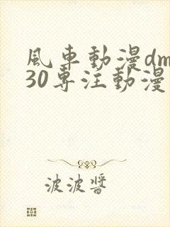 风车动漫dm530专注动漫的门户