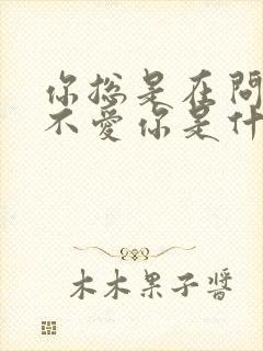 你总是在问我爱不爱你是什么歌曲