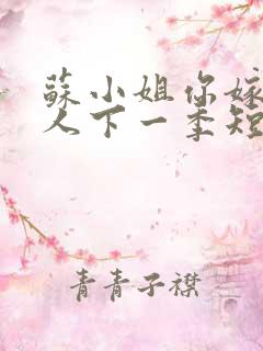 苏小姐你嫁错了人下一季短剧