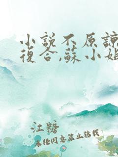 小说不原谅,不复合,苏小姐独美免费