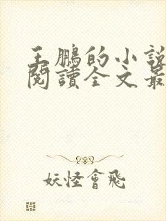 王鹏的小说免费阅读全文最新章节