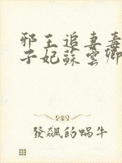 邪王追妻毒医世子妃苏云卿