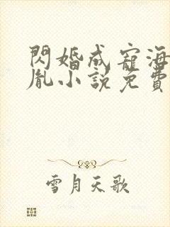 闪婚成宠海彤战胤小说免费阅读