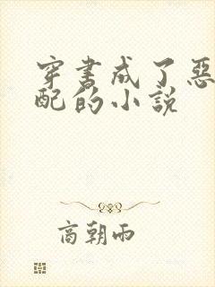 穿书成了恶毒女配的小说