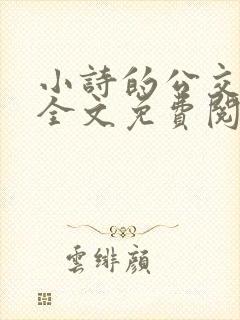 小诗的公交日记全文免费阅读