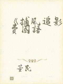 《捕风追影》免费国语