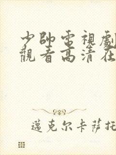 少帅电视剧免费观看高清在线播放