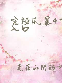 究极风暴4下载入口