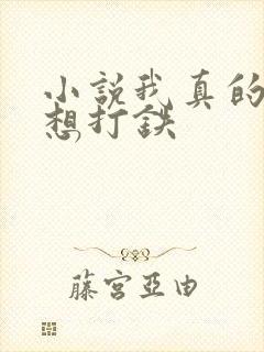 小说我真的只是想打铁