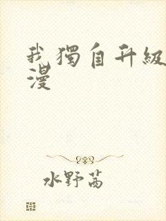 我独自升级,日漫