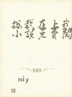 总裁在上我在下小说免费阅读