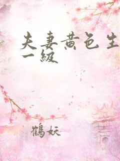 夫妻黄色生活片一级