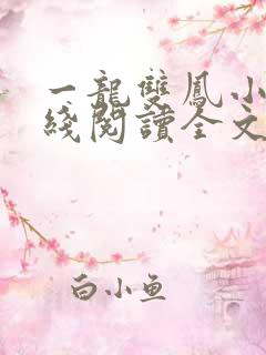 一龙双凤小说在线阅读全文