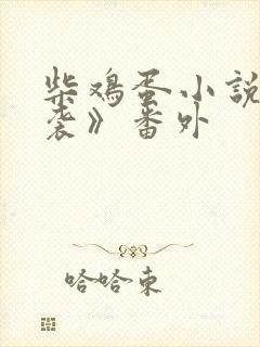 柴鸡蛋小说《逆袭》番外