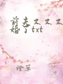 前夫又又又想复婚了txt