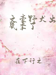 文豪野犬出到第几季了