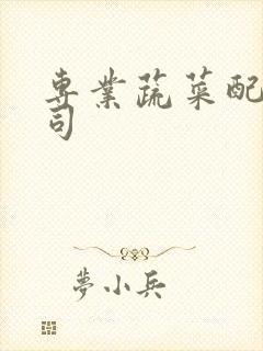 专业蔬菜配送公司