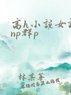 高h小说女调教np群p