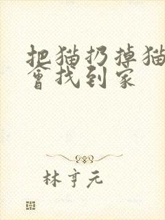 把猫扔掉猫会不会找到家