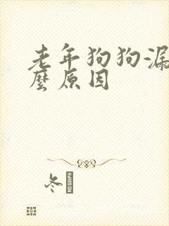 老年狗狗漏尿什么原因